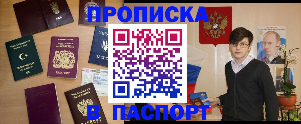 прописка 2025 в Тайге